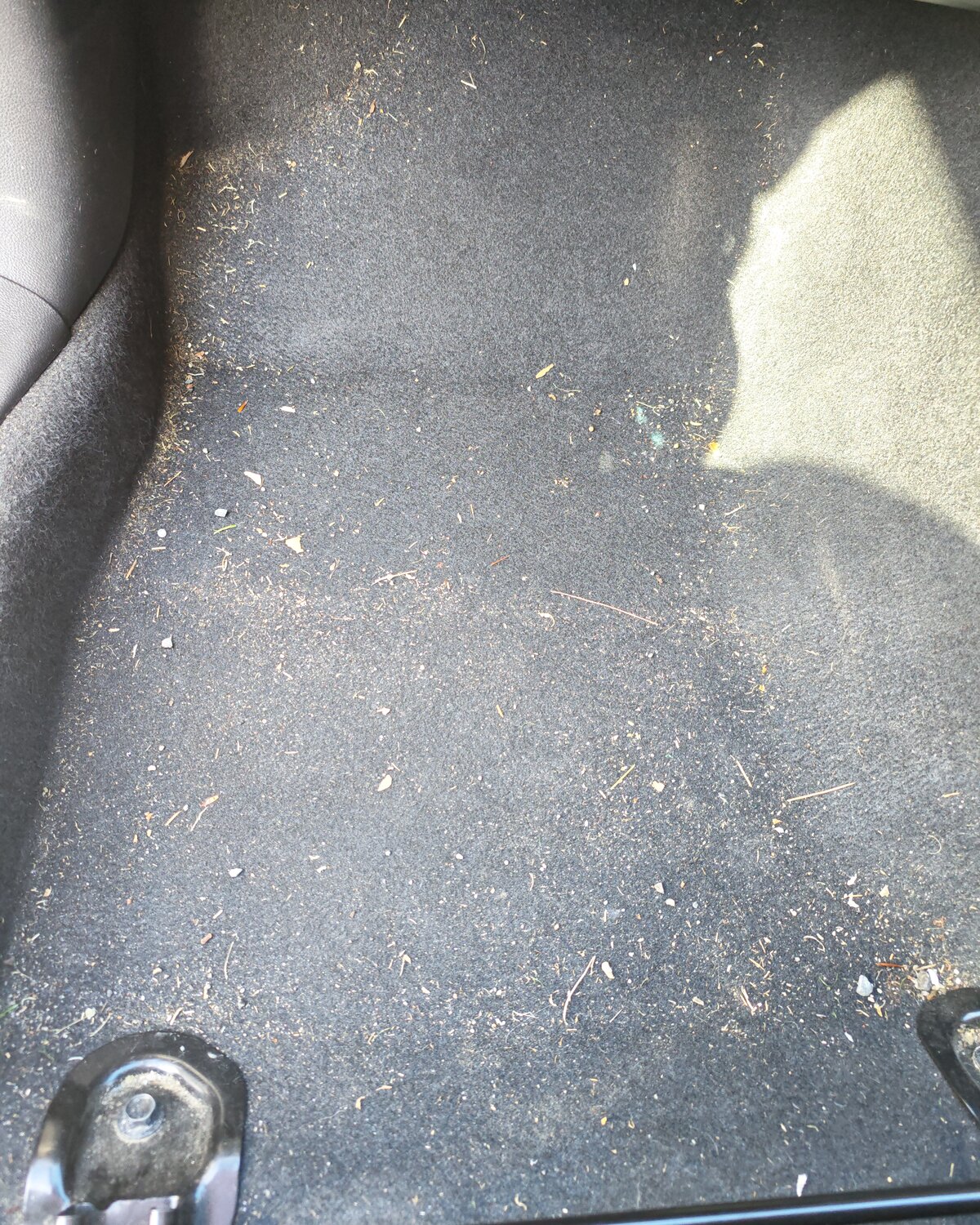 Cabin carpet before cleaning
